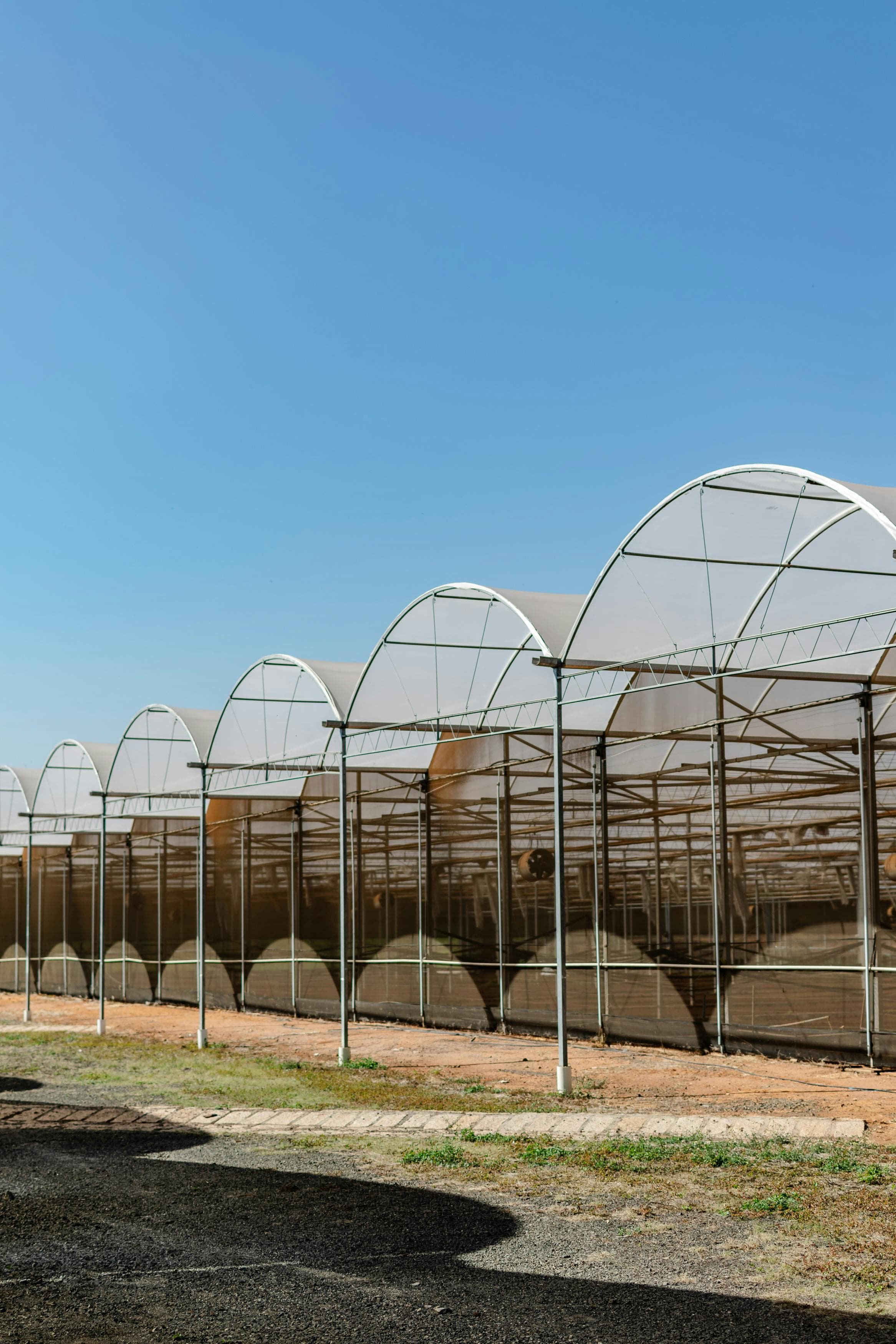 Greenhouse Construction
